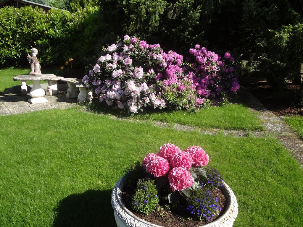 Gaestehaus Am Ahornweg Bernkastel-Kues Szoba fotó